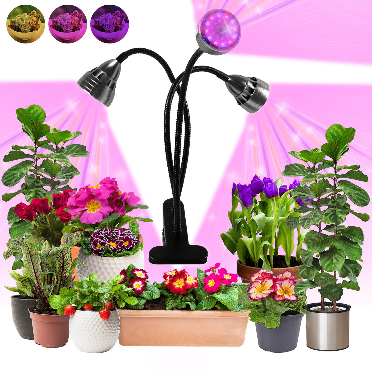Clip on LED Plant Lights for Indoor Plants Seedlings and Herbs view 2