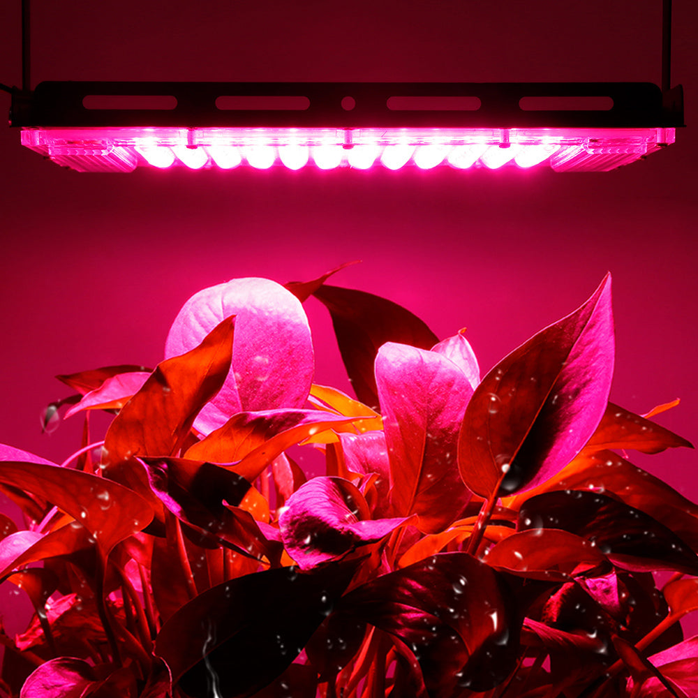 LED Spot Plant Light ON OFF Switch 50W 100W for Indoor Plants view 4