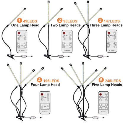 Full Spectrum LED Plant Lights with Timer Auto On Off for Seedlings view 4