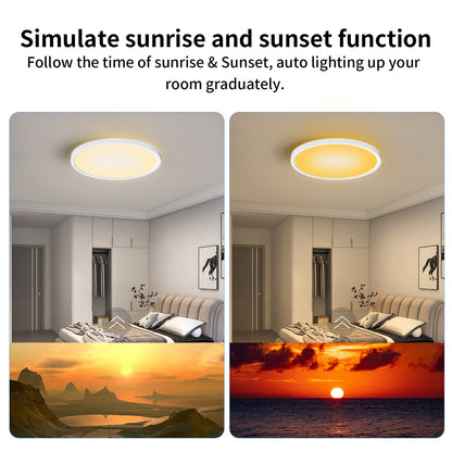 WiFi and Bluetooth Smart LED Ceiling Light Flush Mount for Bedroom view 6