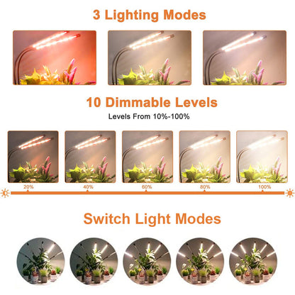 Full Spectrum LED Plant Lights with Timer Auto On Off for Seedlings view 5