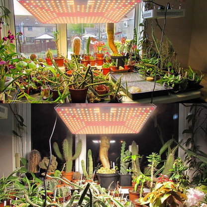 LED Grow Light Full Spectrum 192 to 360LEDs 25W to 65W for Seedlings view 5