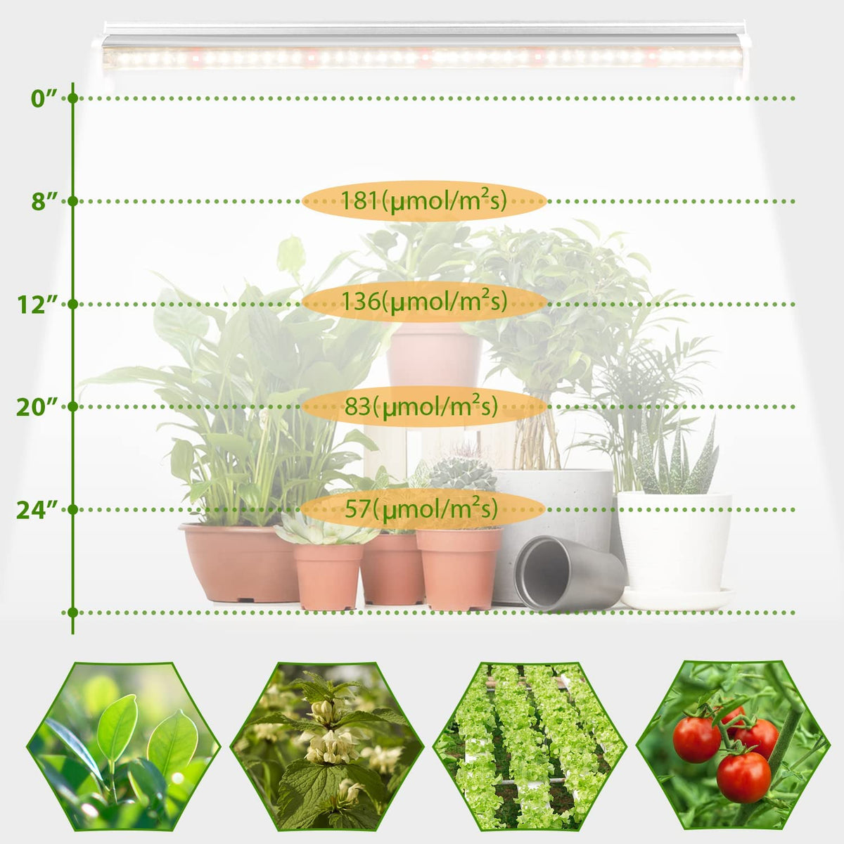 Grow Light T5 2pcs 4pcs x 10 Watts for Indoor Plants and Seedlings view 5