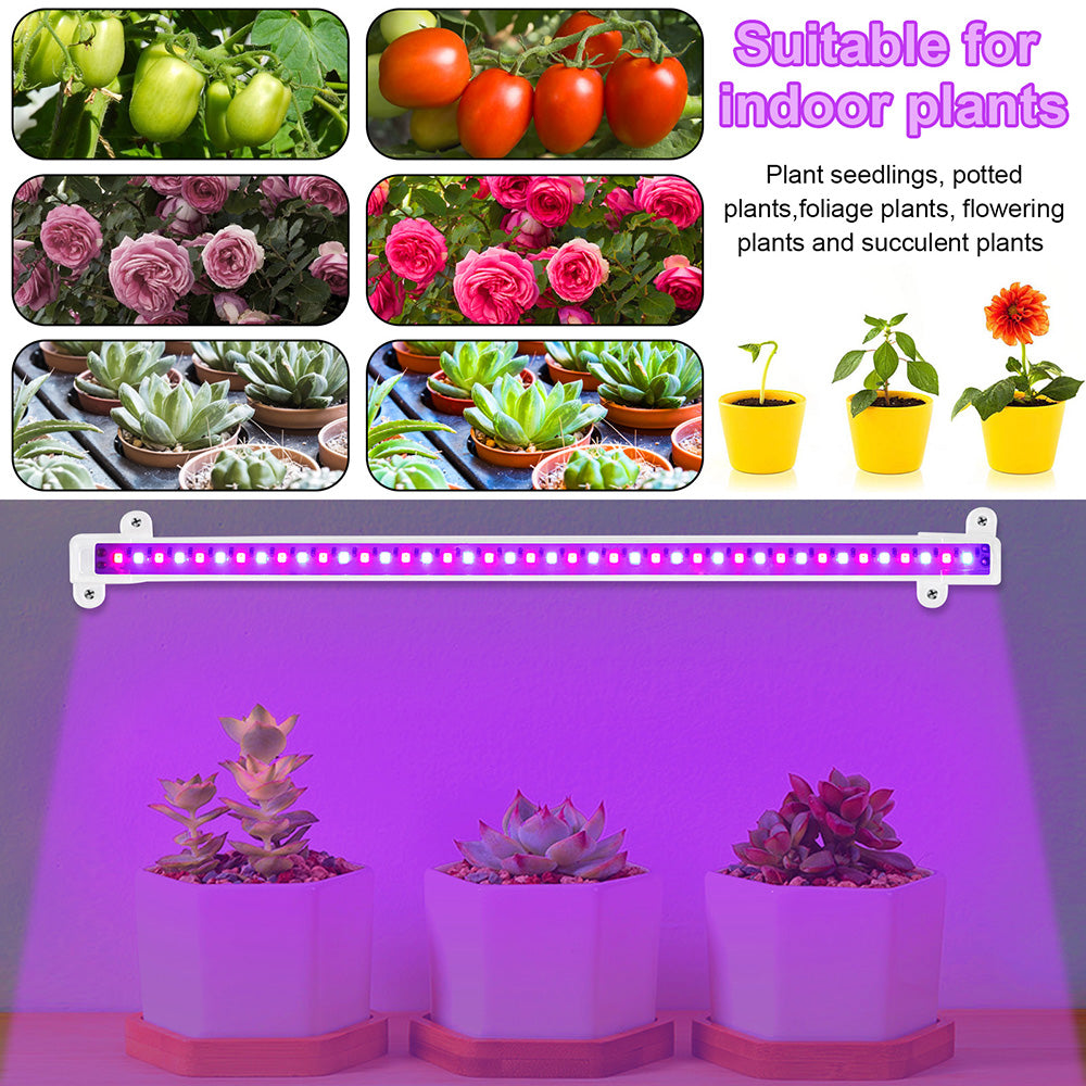 LED Grow Light Strips for Indoor Plants Seedlings and Herb Shelves view 5