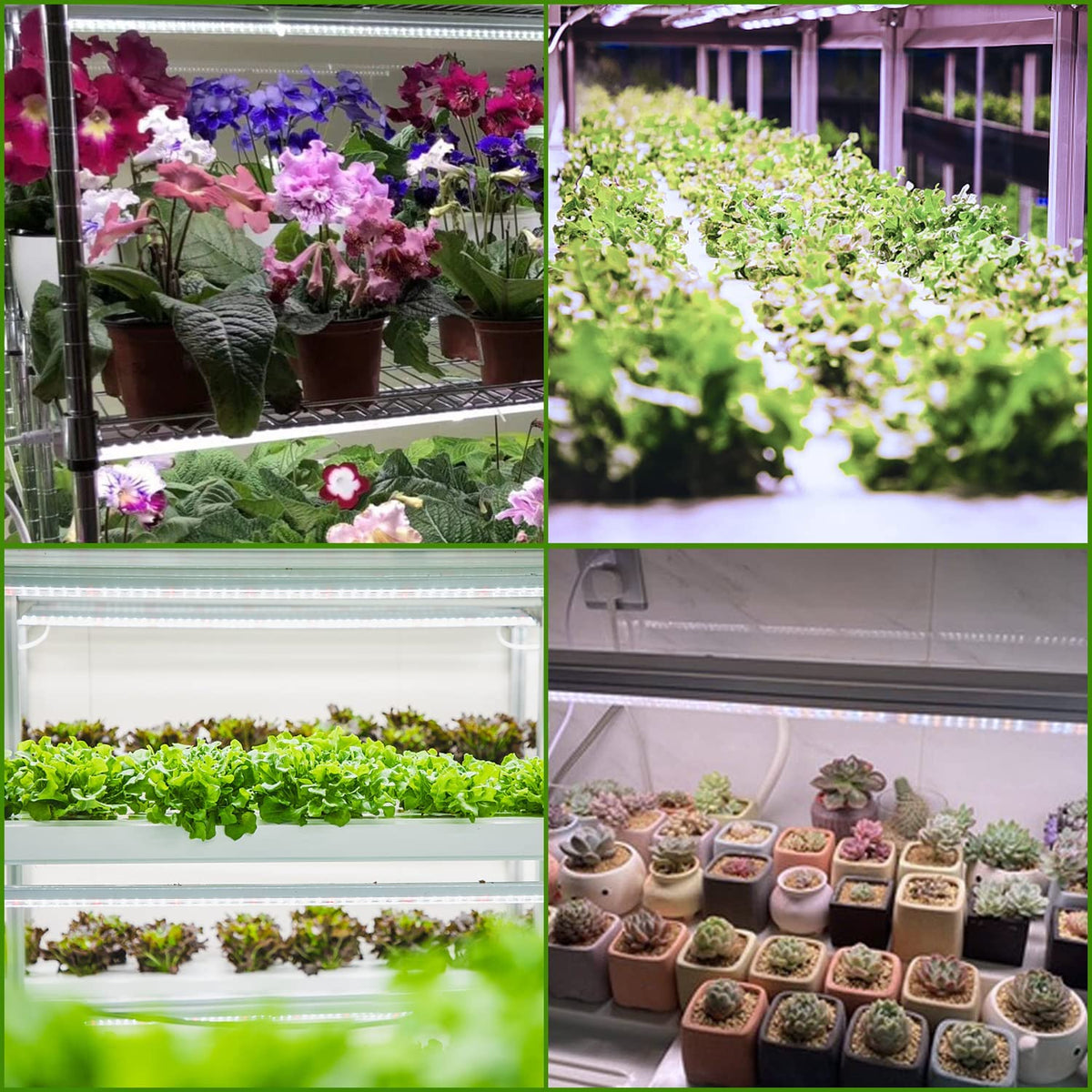 Grow Light T5 2pcs 4pcs x 10 Watts for Indoor Plants and Seedlings view 6