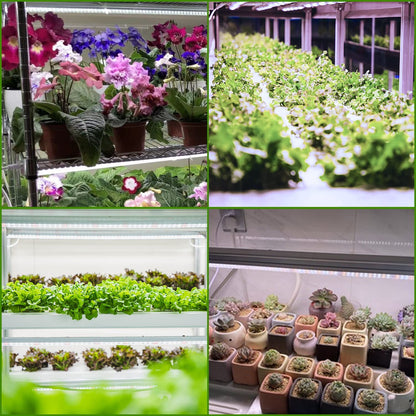 Grow Light T5 2pcs 4pcs x 10 Watts for Indoor Plants and Seedlings view 6