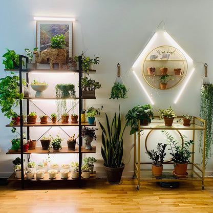 Connectable Sunlight LED Grow Light for Indoor Plants and Seedlings view 7