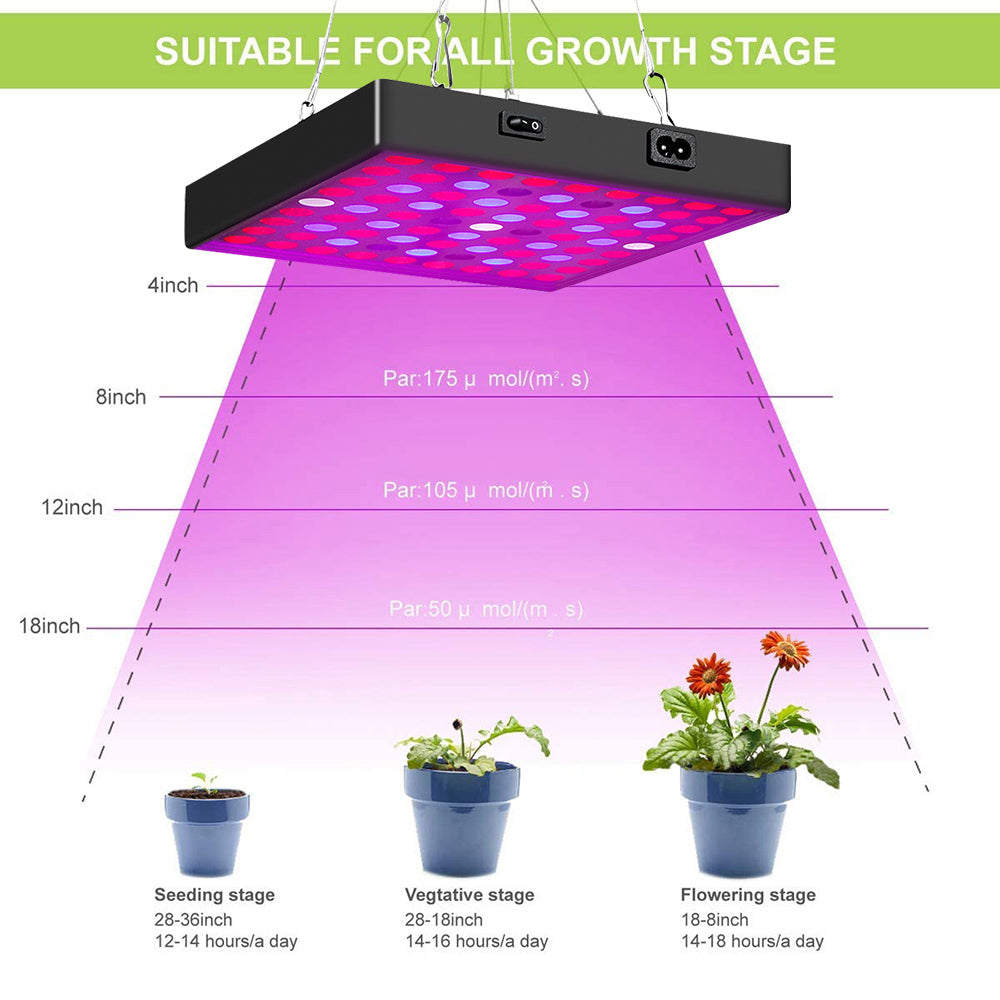 LED Grow Light Full Spectrum Red Blue Light 81 to 312LEDs 25W to 80W view 4