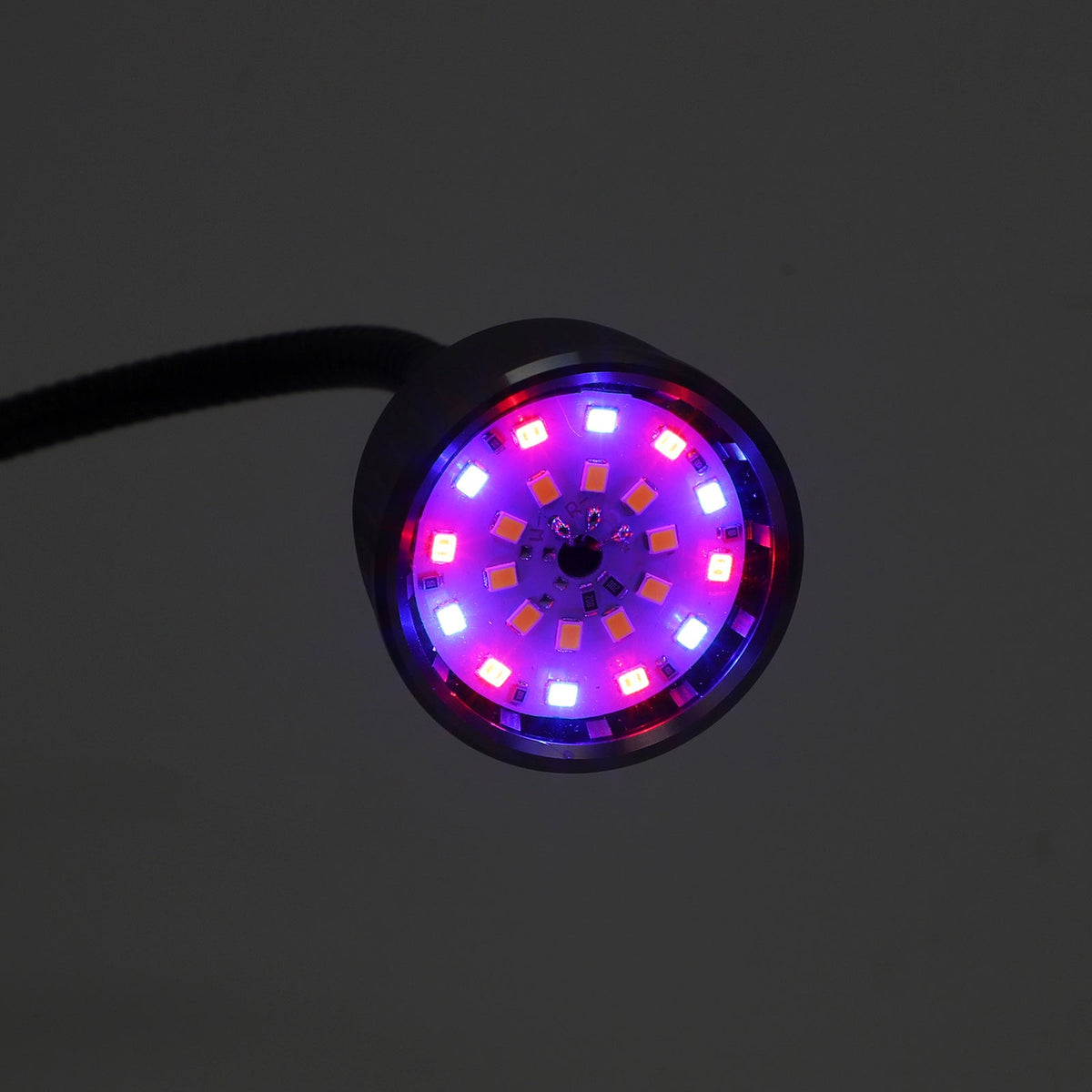 Clip on LED Plant Lights for Indoor Plants Seedlings and Herbs view 15