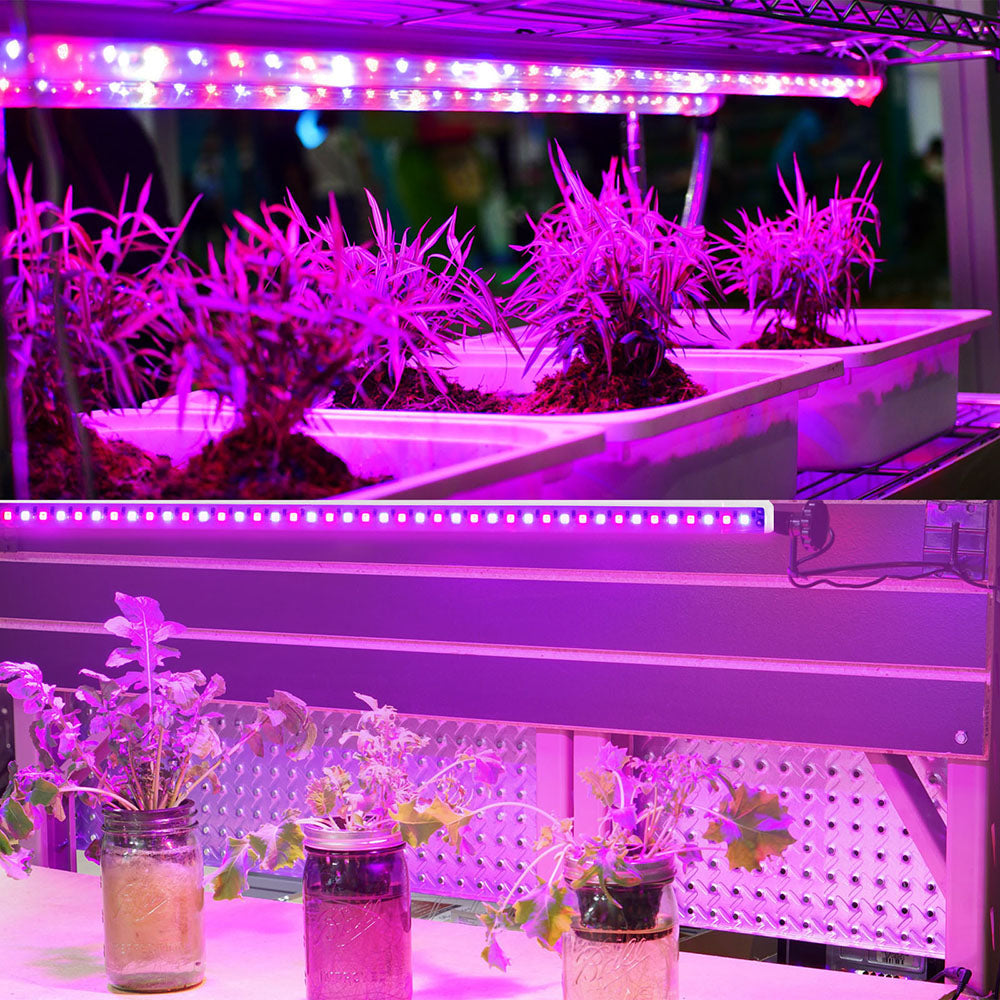 LED Grow Light Strips for Indoor Plants Seedlings and Herb Shelves view 6