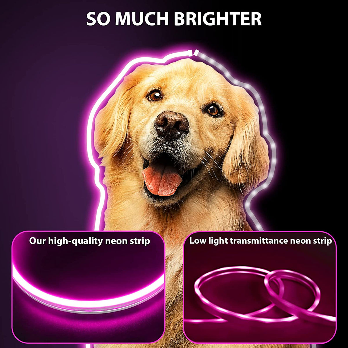 Waterproof Touch Switch Dimmable LED Neon Strip Light for Room Decor view 12