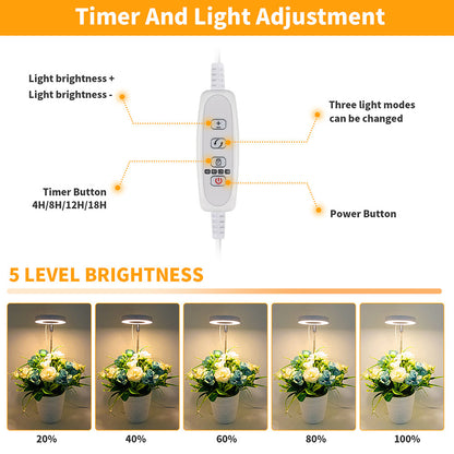 LED Full Spectrum Halo Plant Grow Lamp for Indoor Plants and Herbs view 8