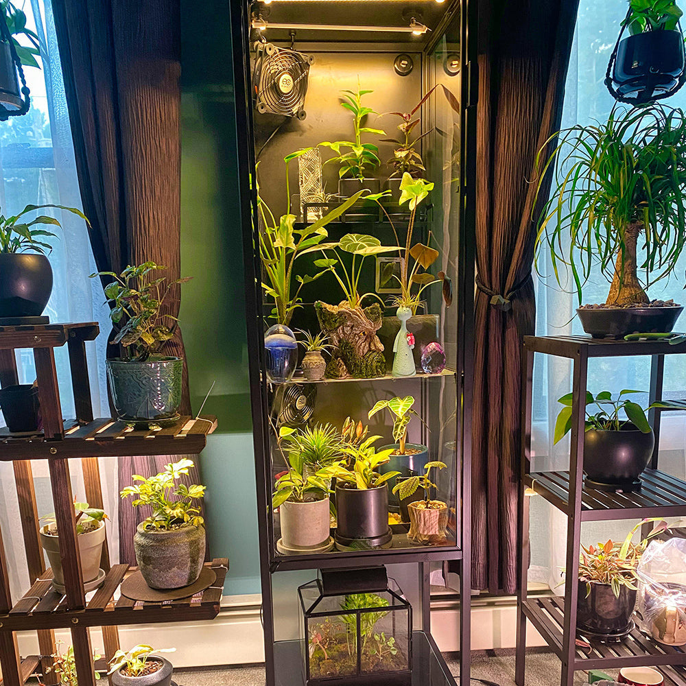 Connectable Sunlight LED Grow Light for Indoor Plants and Seedlings view 8