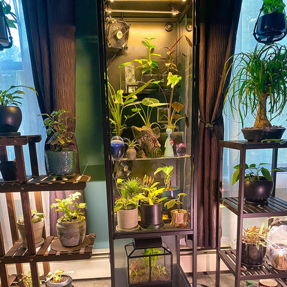 Connectable Sunlight LED Grow Light for Indoor Plants and Seedlings view 8