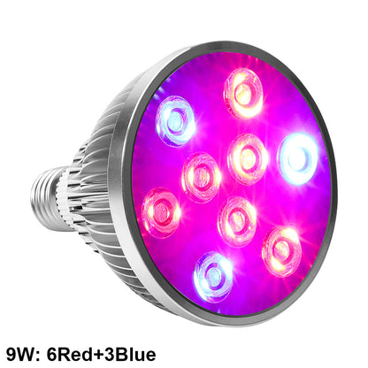 5W to 18W High Brightness Full Spectrum LED Grow Light Bulb for Herbs view 12