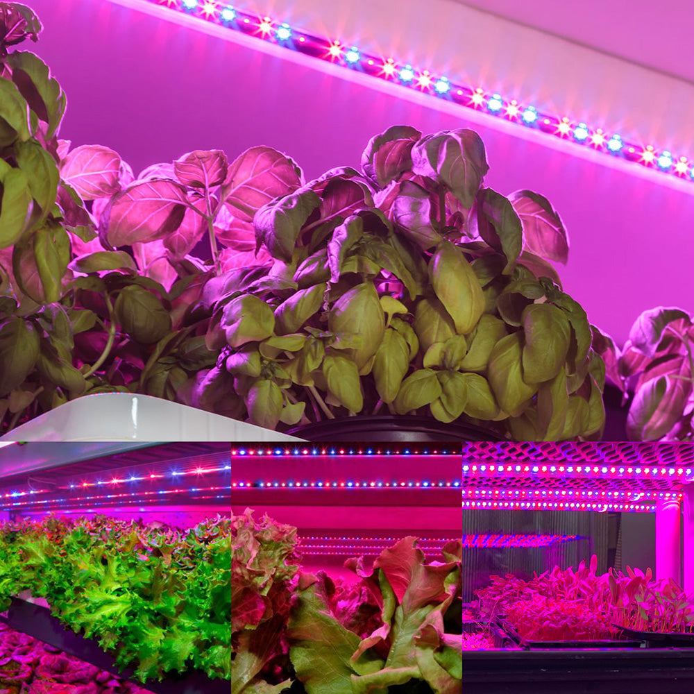 LED Grow Light Strips for Indoor Plants Seedlings and Herb Shelves view 7