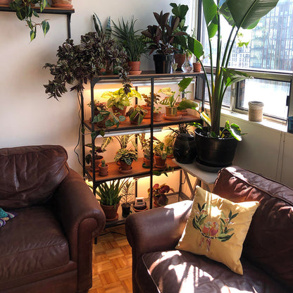 Connectable Sunlight LED Grow Light for Indoor Plants and Seedlings view 9